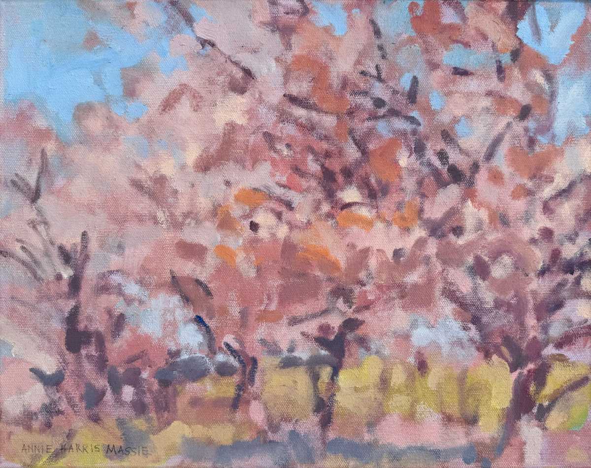 Cherry Trees, Lone Jack Farm, April by Annie Harris Massie, Image 2.