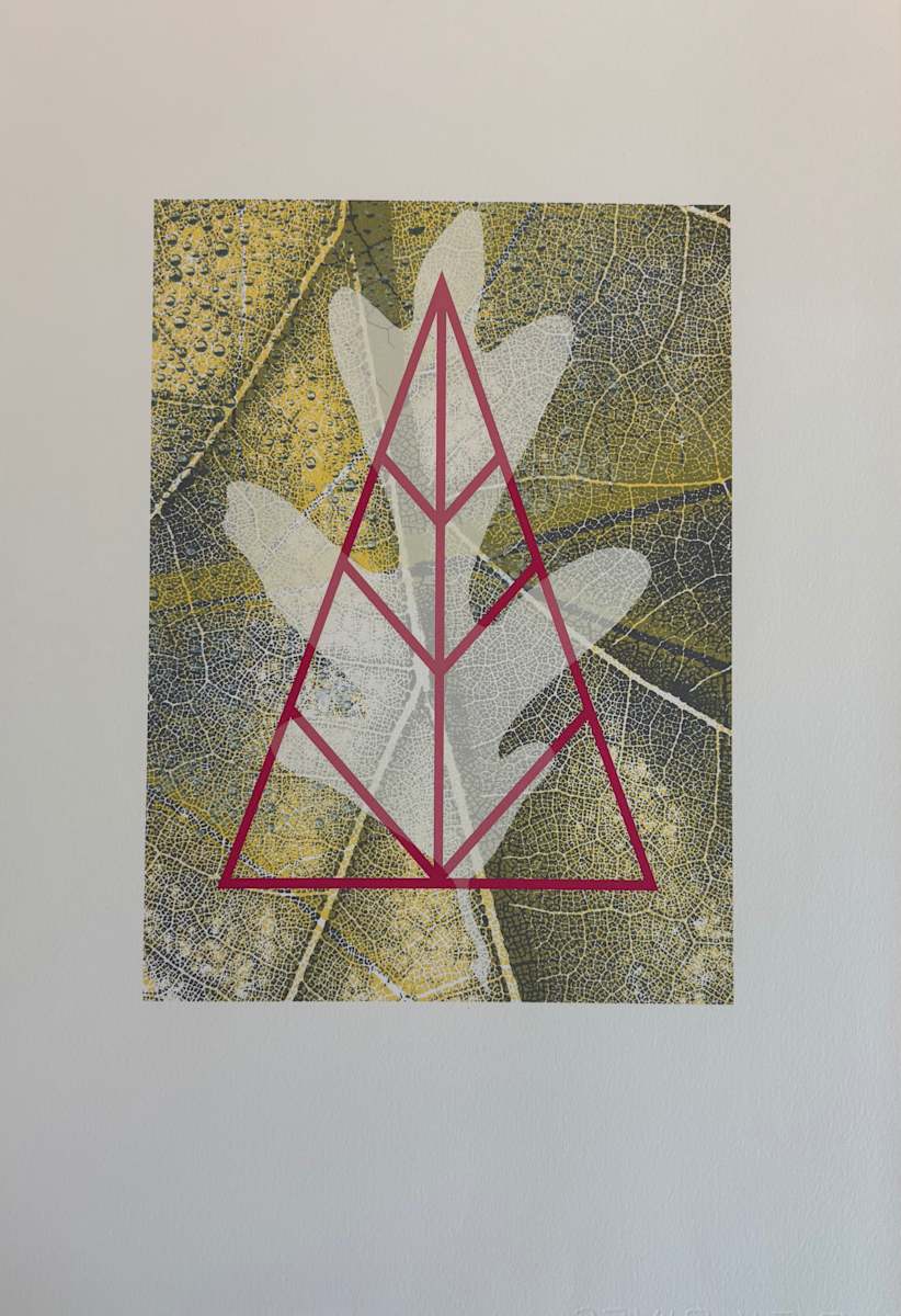 N/A by Anne Chesnut 