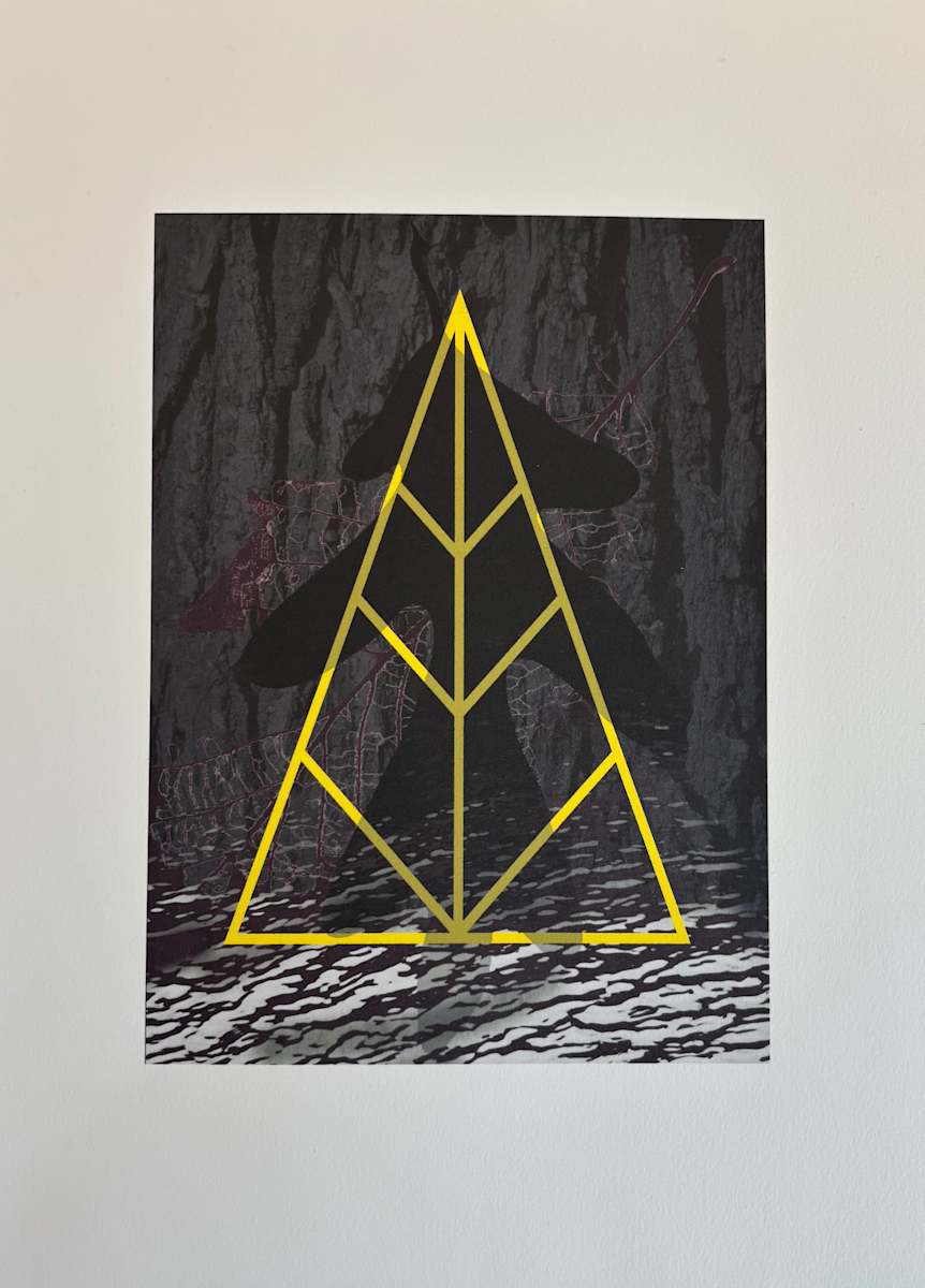 N/A by Anne Chesnut, Image 3.