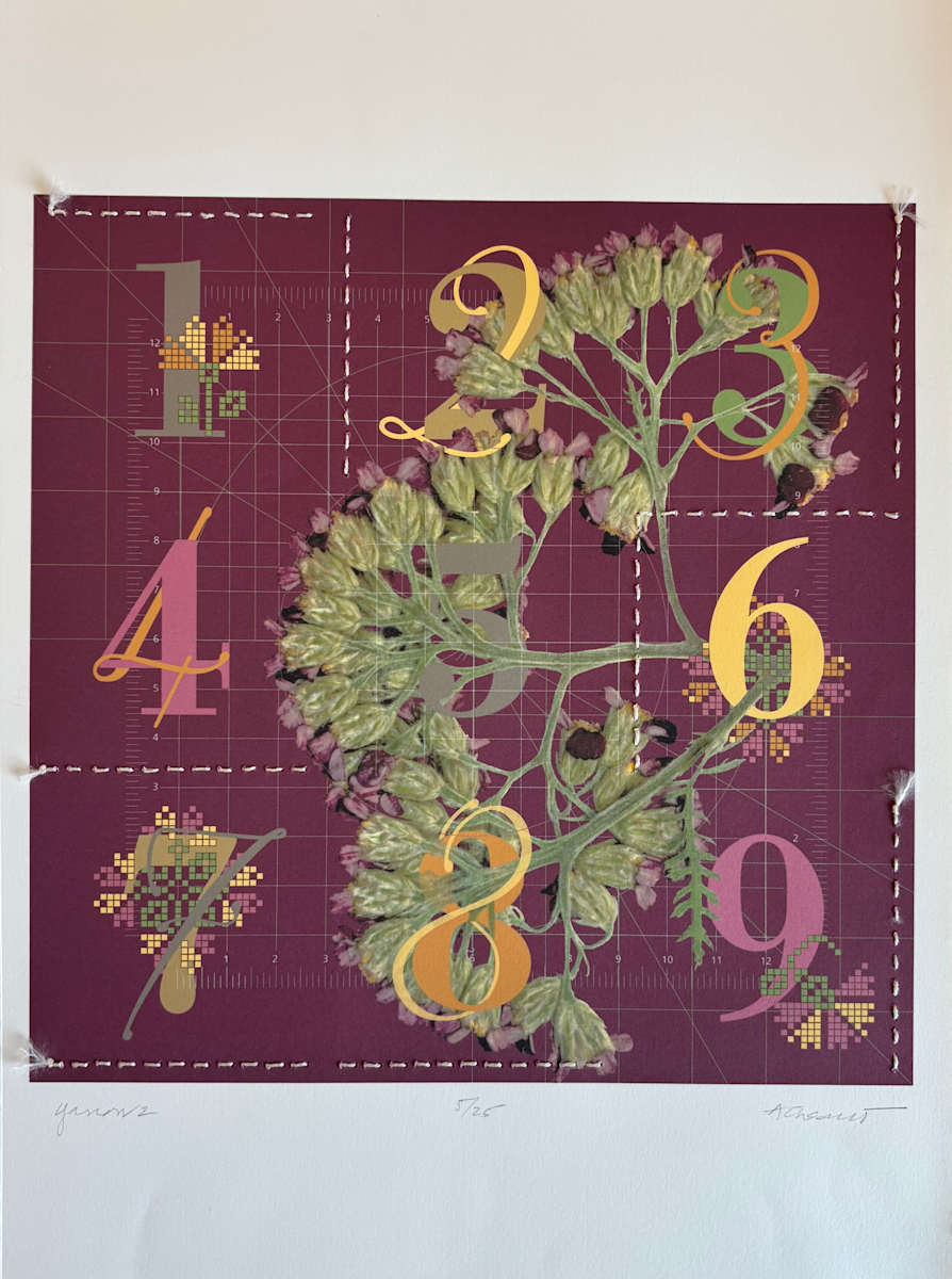 Yarrow 2 by Anne Chesnut, Image 2.