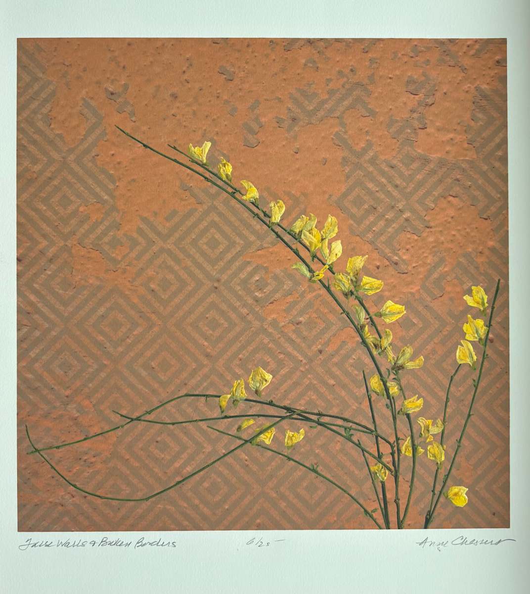 False Walls and Broken Borders by Anne Chesnut 