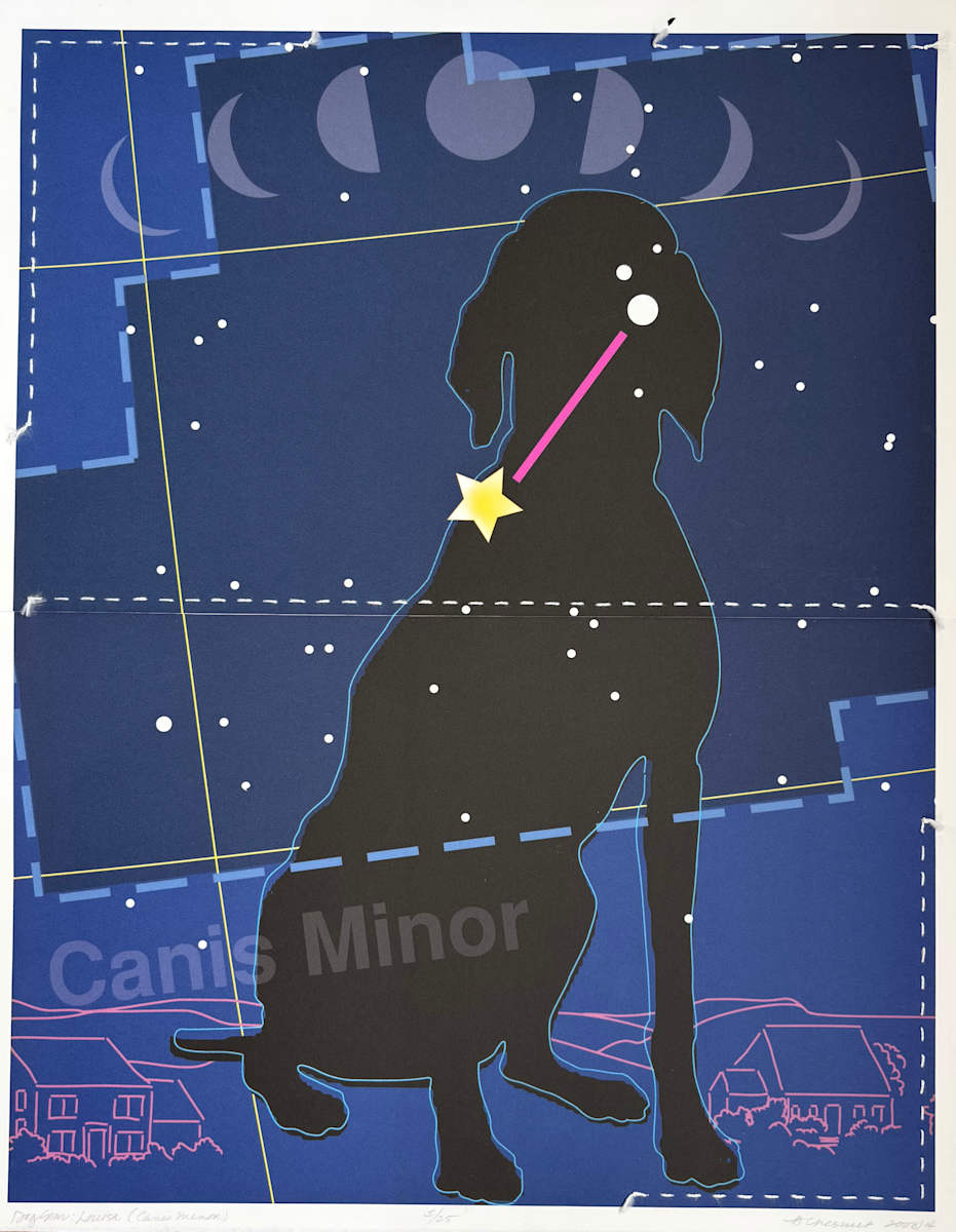 Dog Star: Louisa (Canis Minor) by Anne Chesnut 