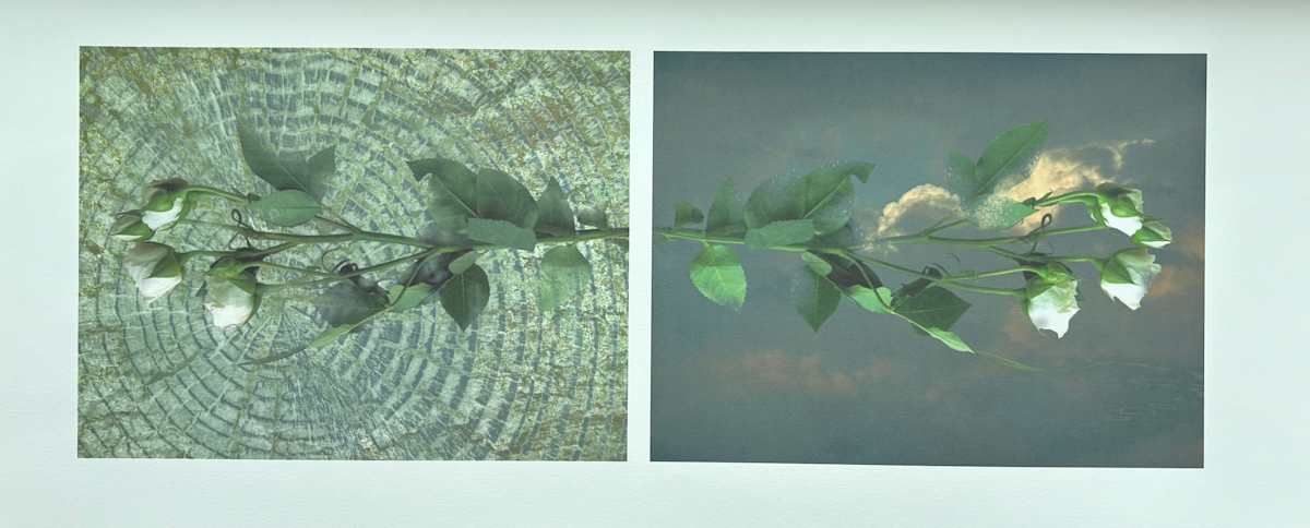 N/A by Anne Chesnut 