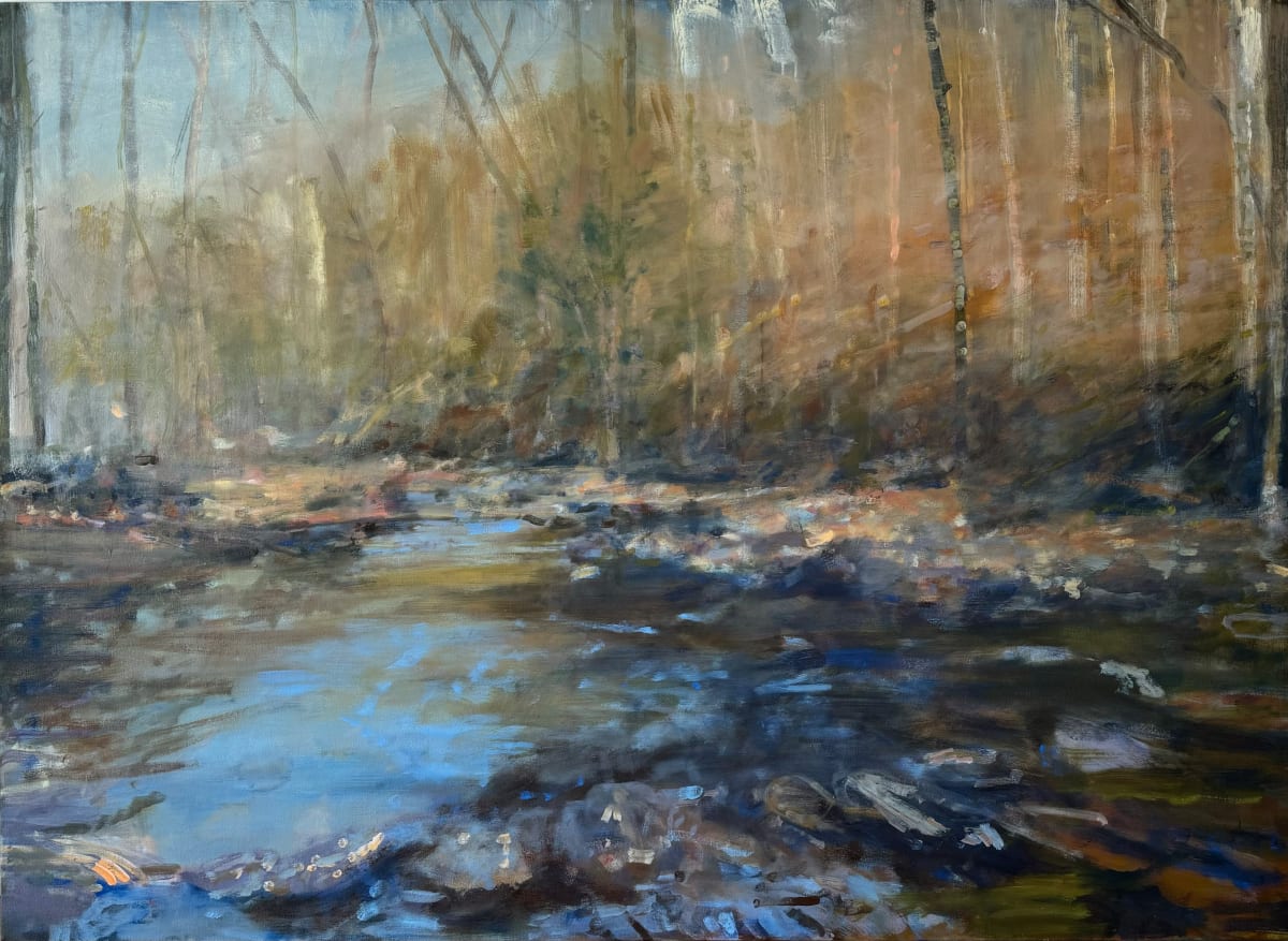 Moormans River by Dean Dass 