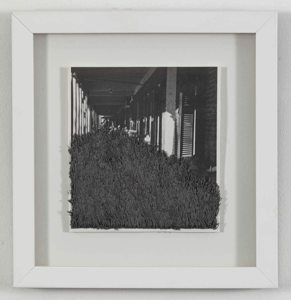 Strange Plants, Charlottesville (SP-EP-184) by Heather Beardsley 