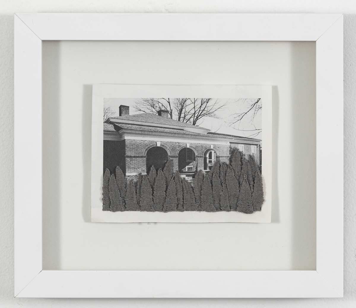 Strange Plants, Charlottesville (SP-C-182) by Heather Beardsley 