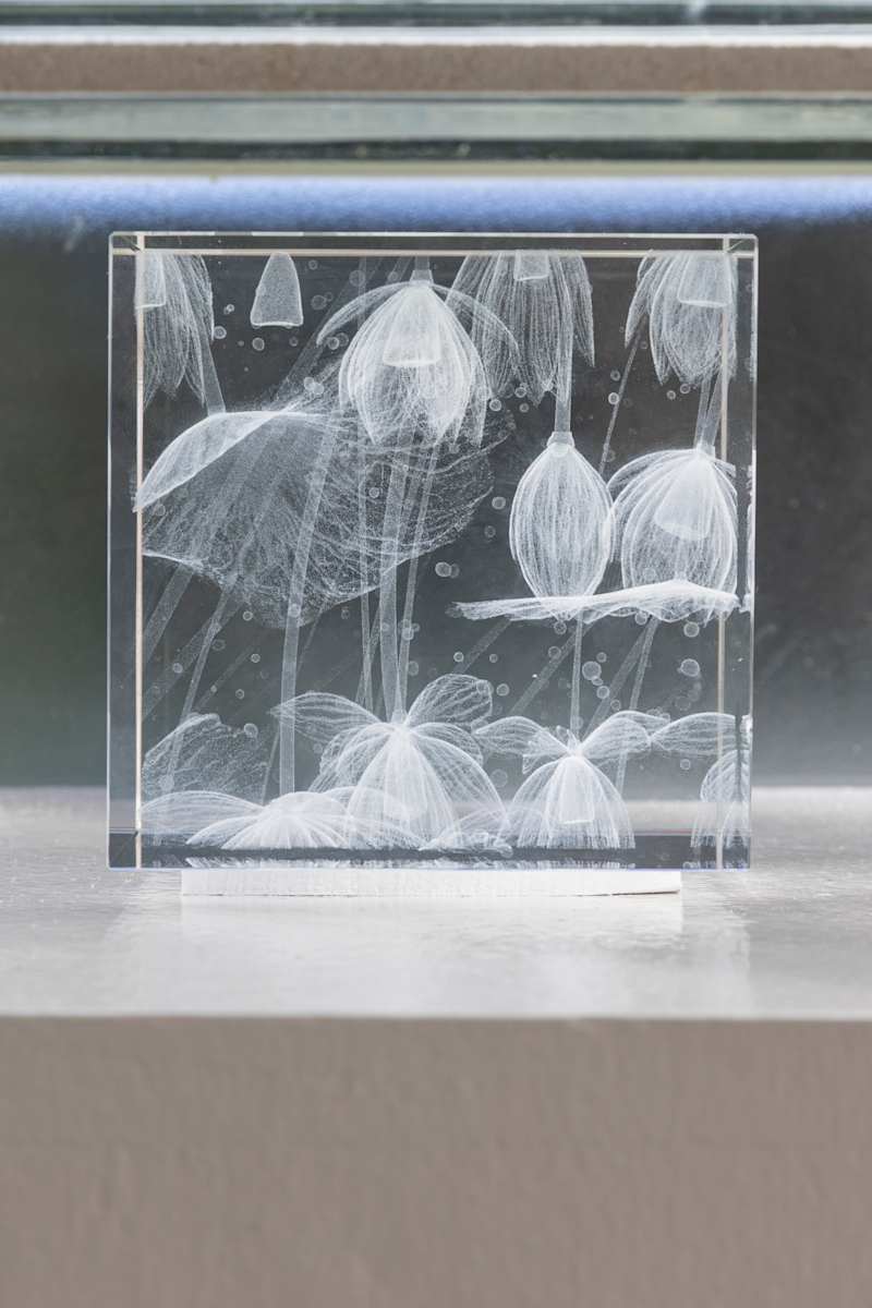 NINFEO Block V by Wolfgang Buttress 