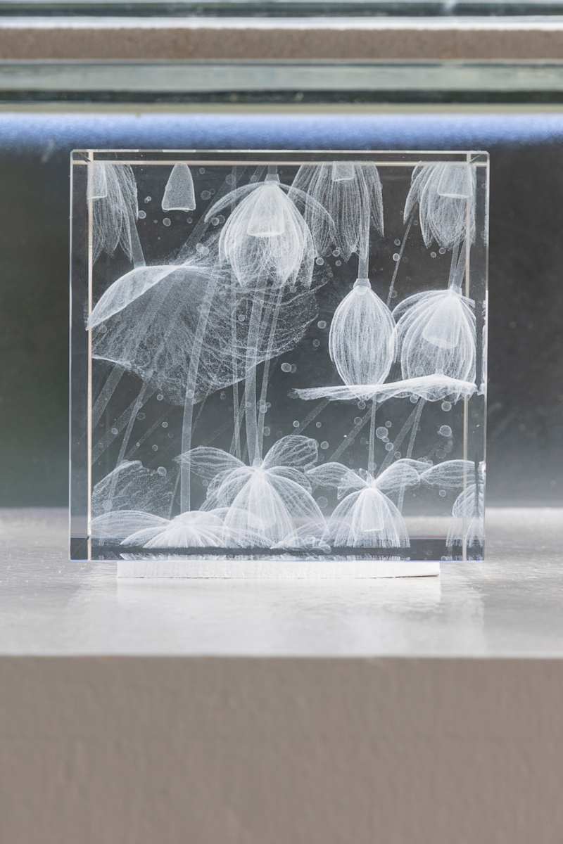 NINFEO Block V by Wolfgang Buttress, Image 5.