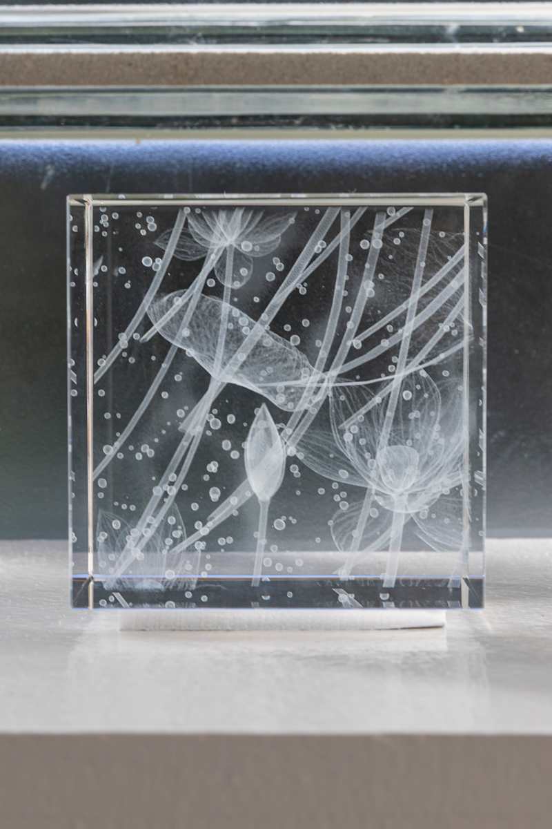 NINFEO Block I by Wolfgang Buttress 