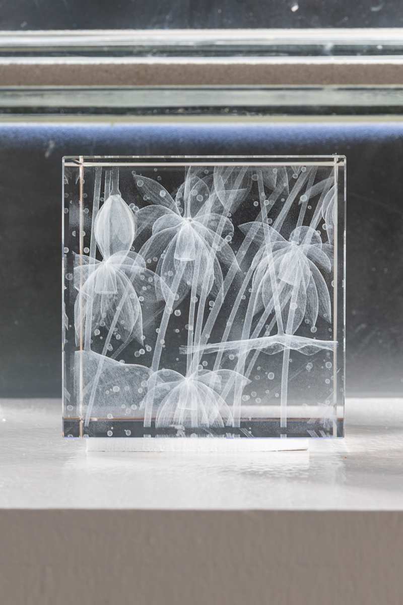 NINFEO Block III by Wolfgang Buttress 