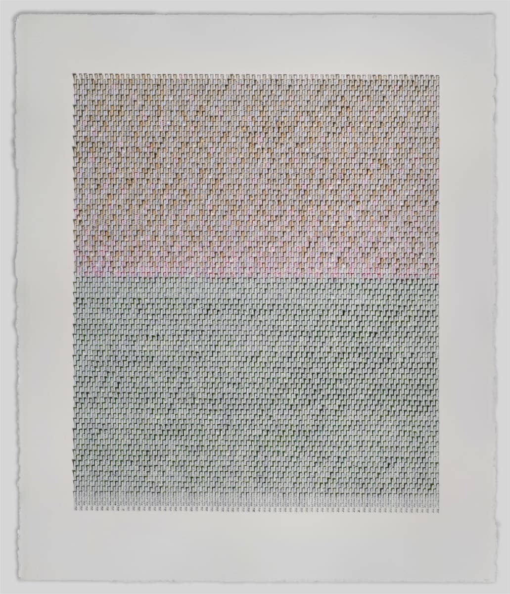 Murmuring by Meg Hitchcock 