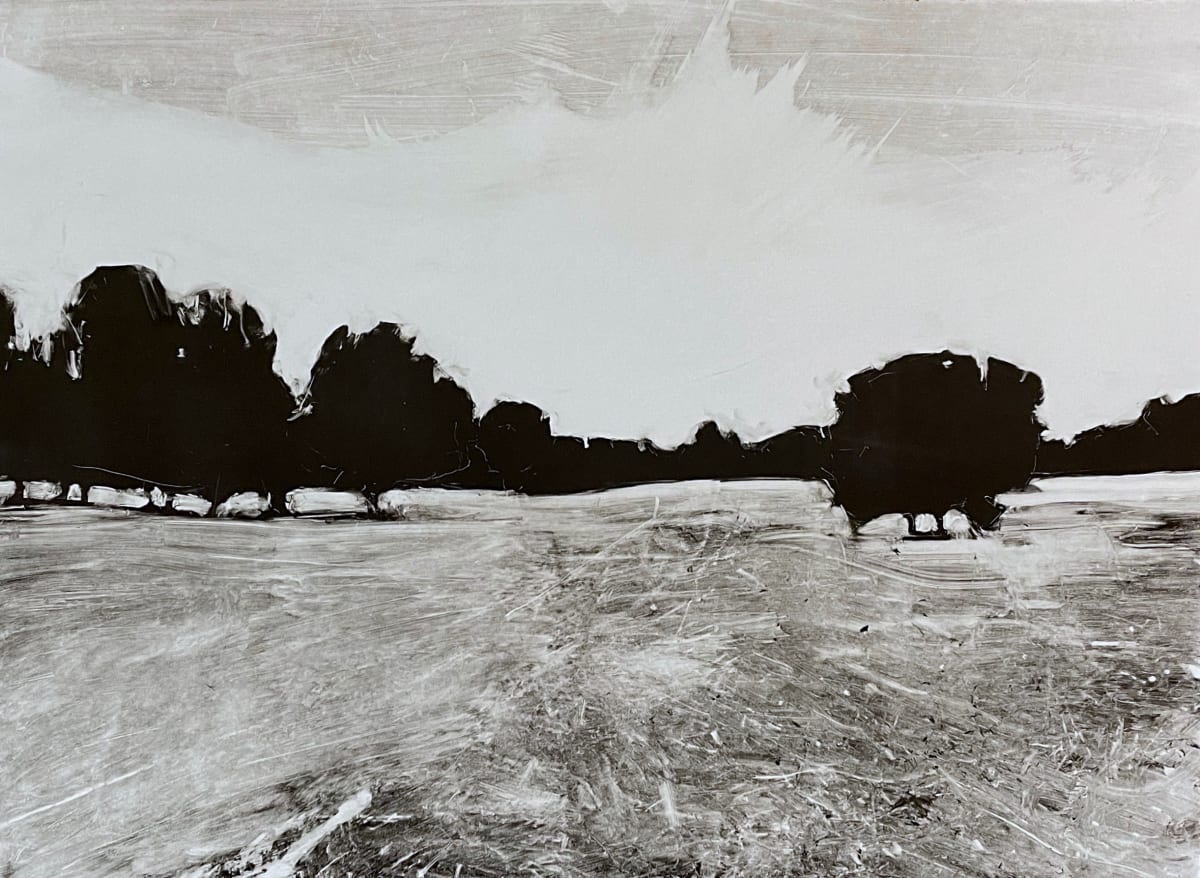 Coursing Tracks by David Hawkins 