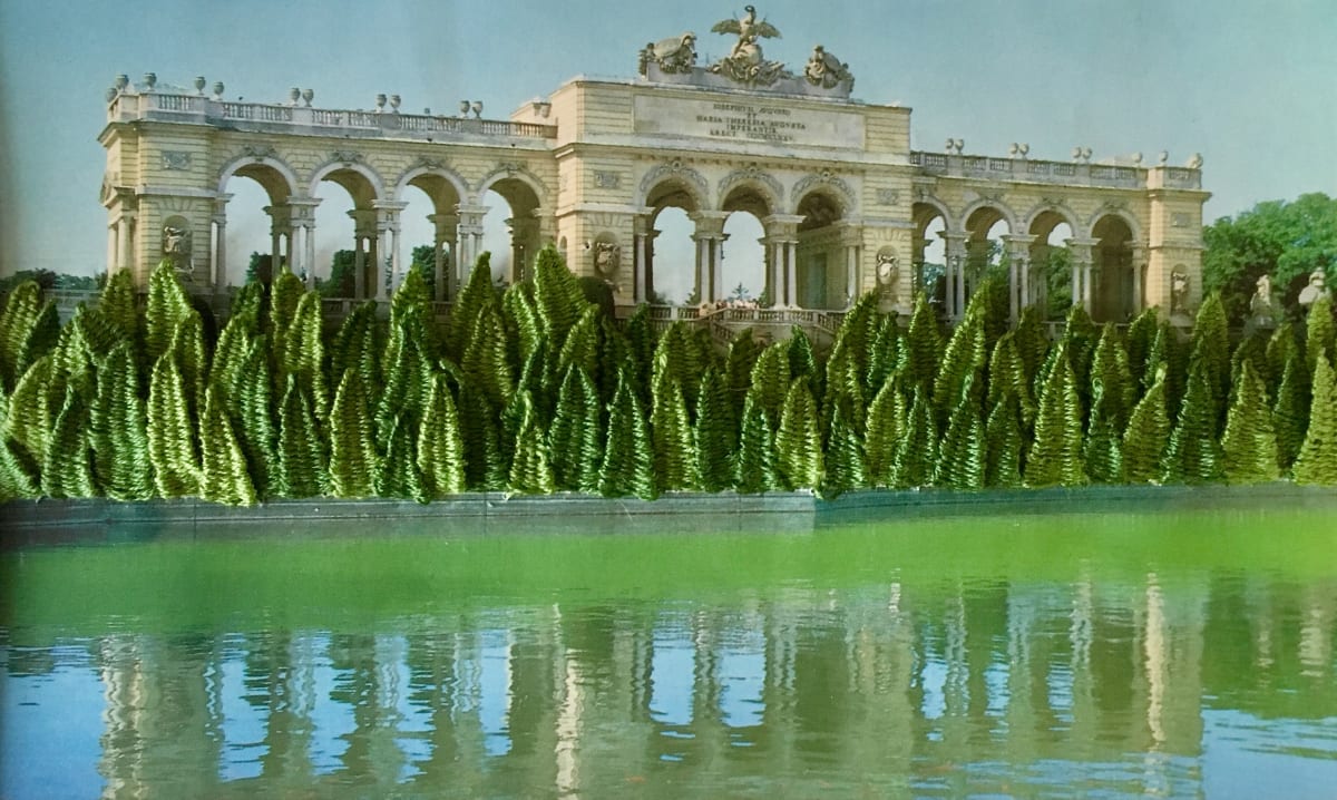 Strange Plants, Vienna by Heather Beardsley, Image 1.
