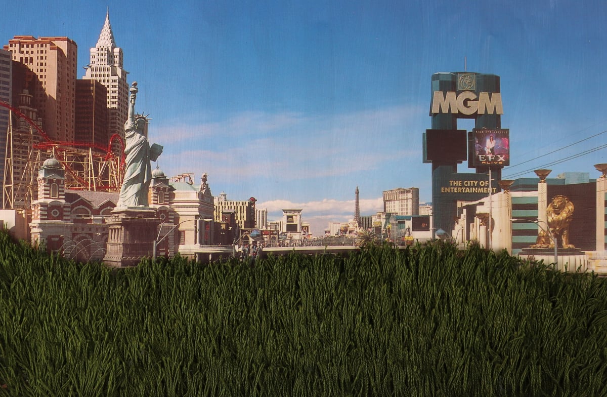 Strange Plants, Vegas by Heather Beardsley 