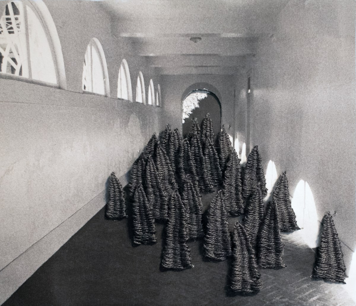 Strange Plants, Charlottesville (SP-EP-177) by Heather Beardsley 