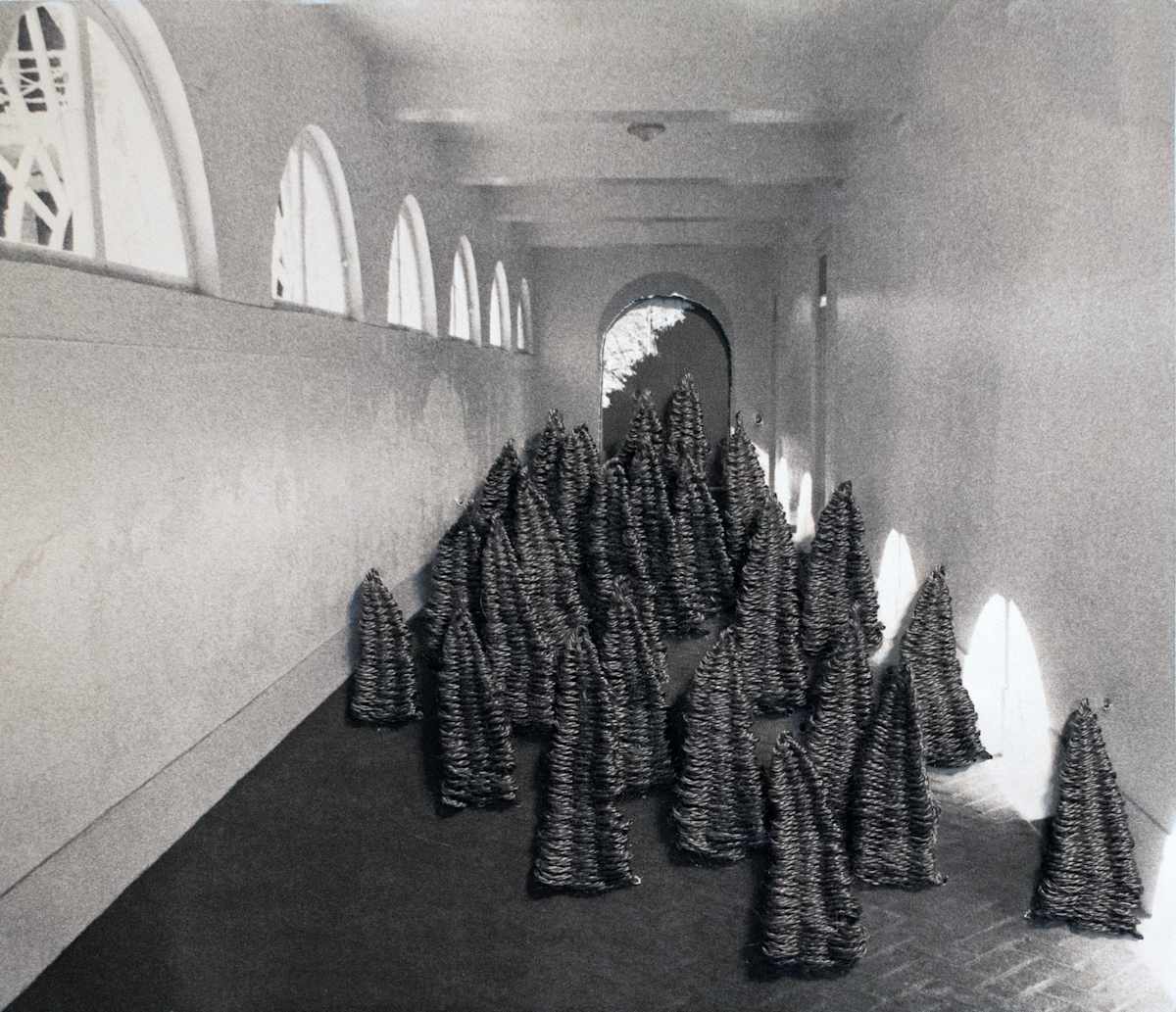 Strange Plants, Charlottesville (SP-EP-177) by Heather Beardsley, Image 1.