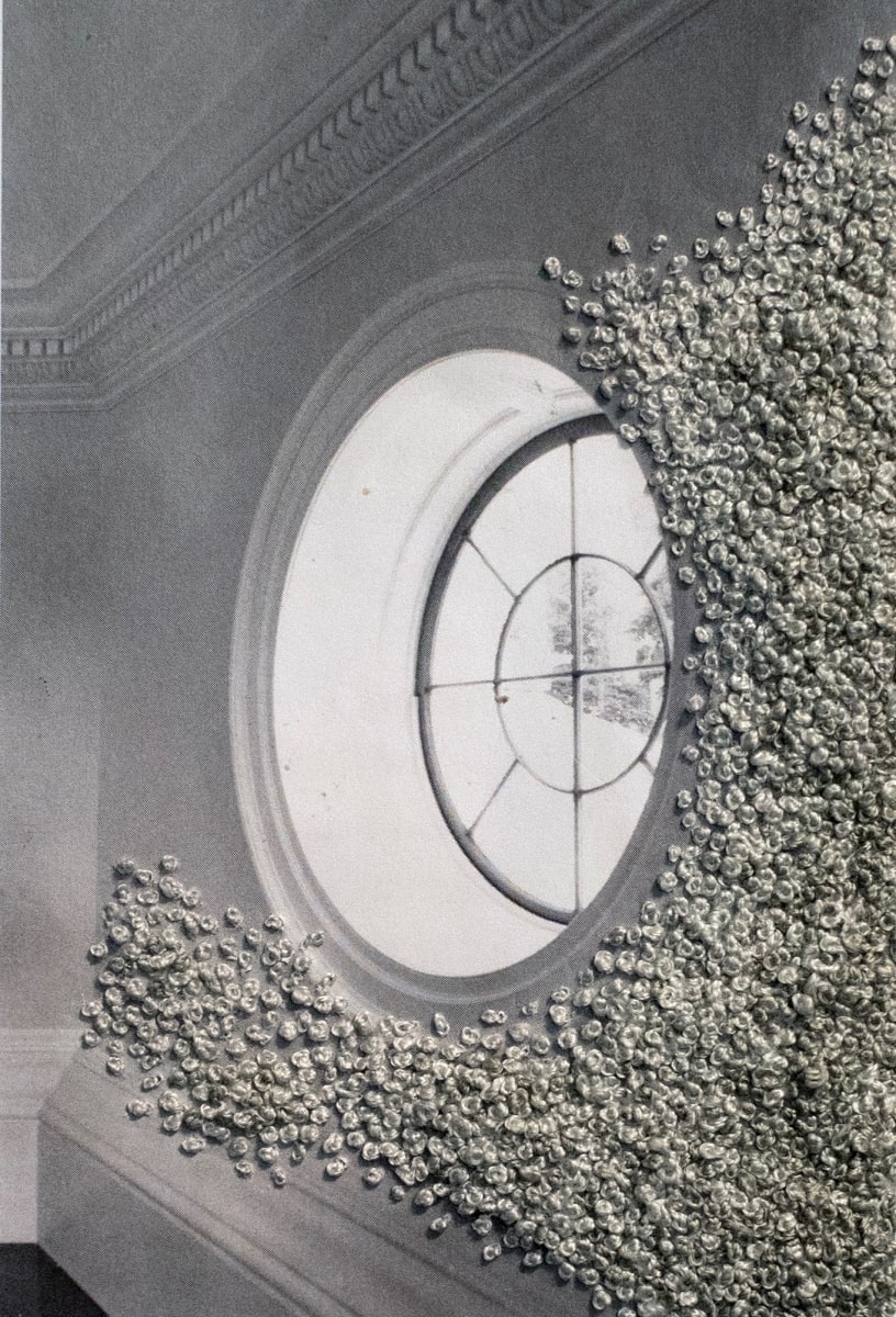 Strange Plants, Charlottesville (SP-EP-178) by Heather Beardsley, Image 1.