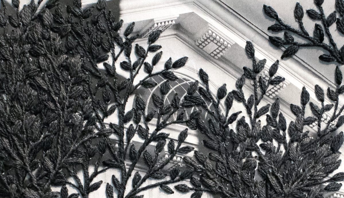 Strange Plants, Charlottesville (SP-EP-179) by Heather Beardsley 