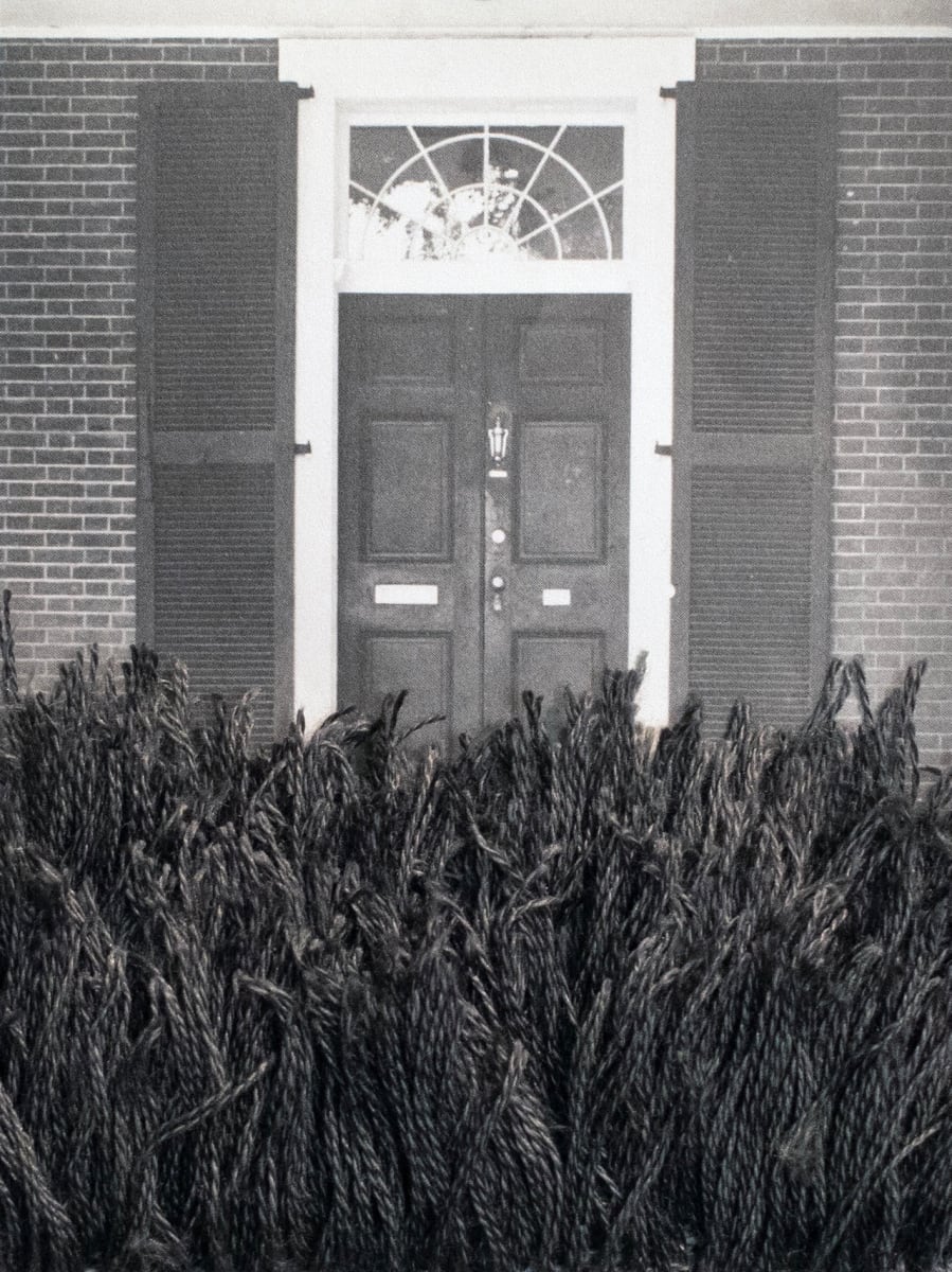 Strange Plants, Charlottesville (SP-EP-181) by Heather Beardsley 