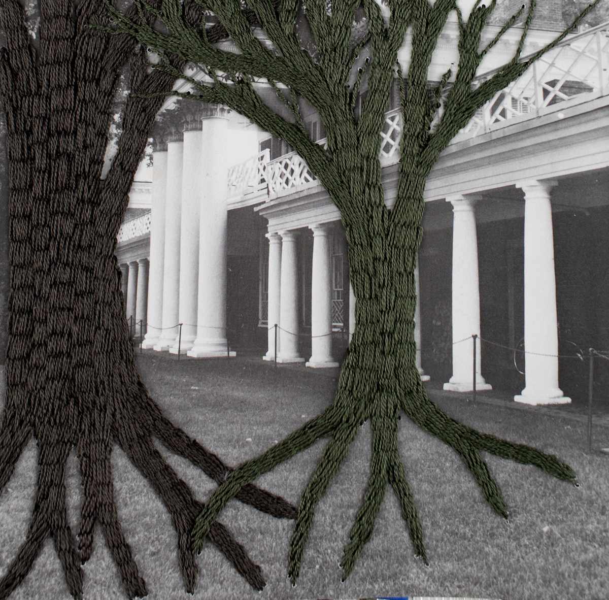 Strange Plants, Charlottesville (SP-EP-202) by Heather Beardsley, Image 8.