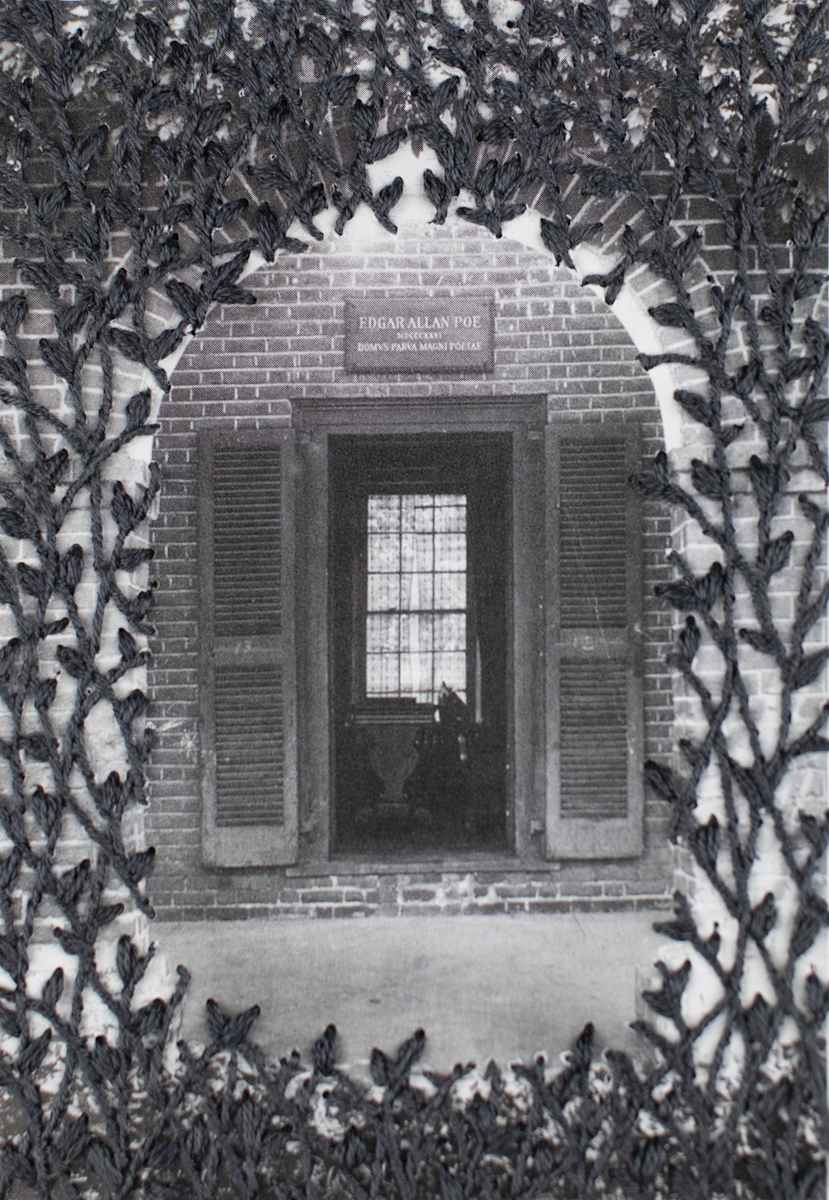Strange Plants, Charlottesville (SP-EP-203) by Heather Beardsley 