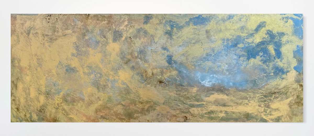 UVA Study by Michelle Gagliano, Image 2.