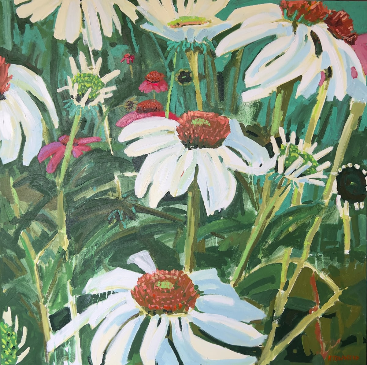 White and Pink Echinacea by Krista Townsend 