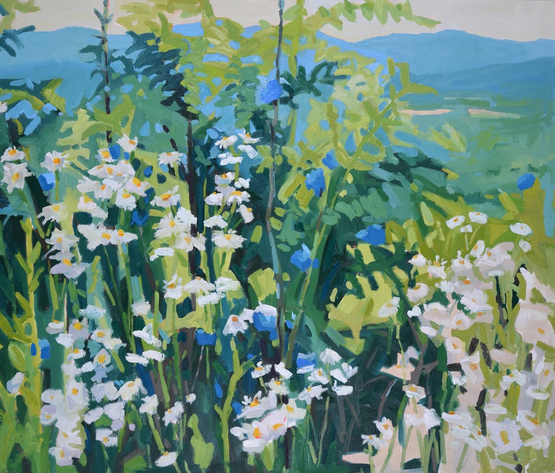 Wildflowers with a View by Krista Townsend 