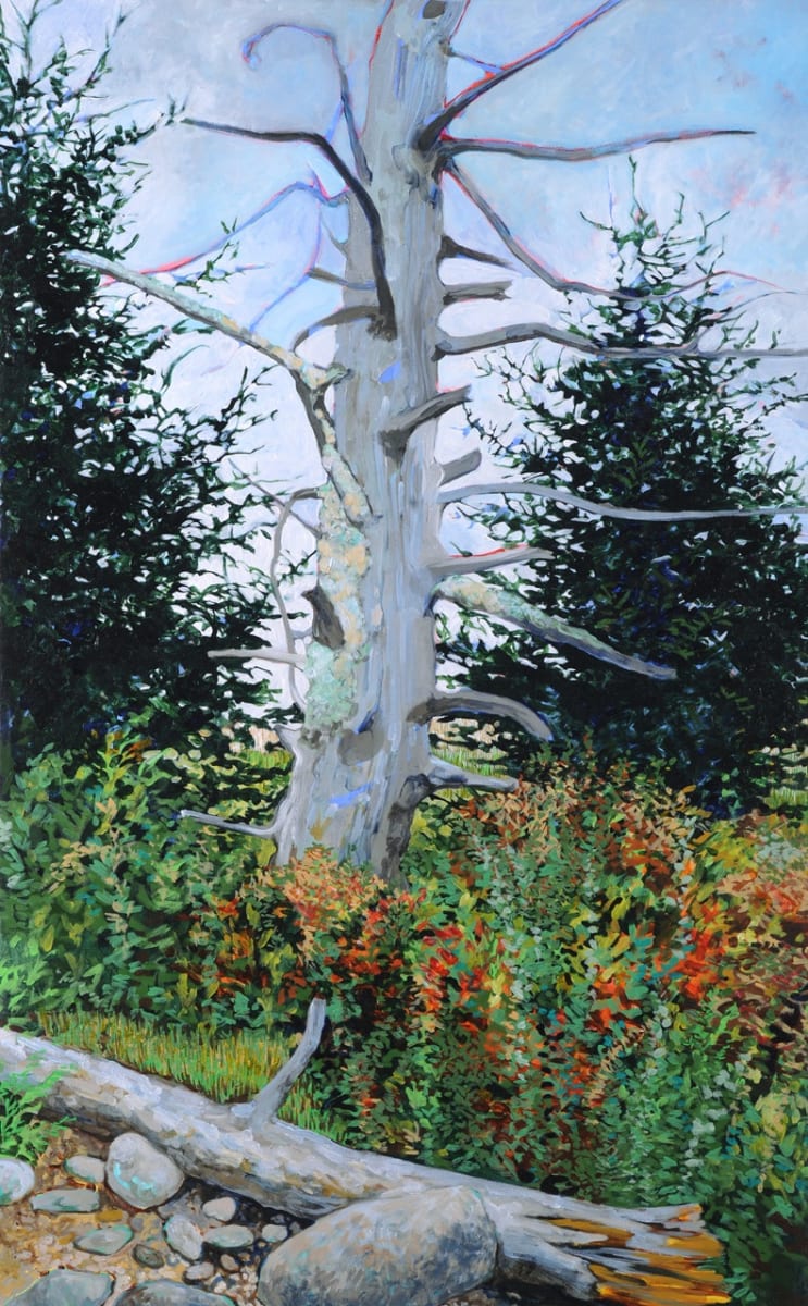 Dead Fir by Elizabeth Bradford, Image 1.