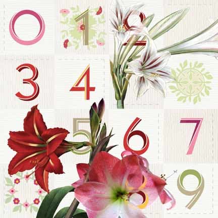 Amaryllis by Anne Chesnut, Image 1.
