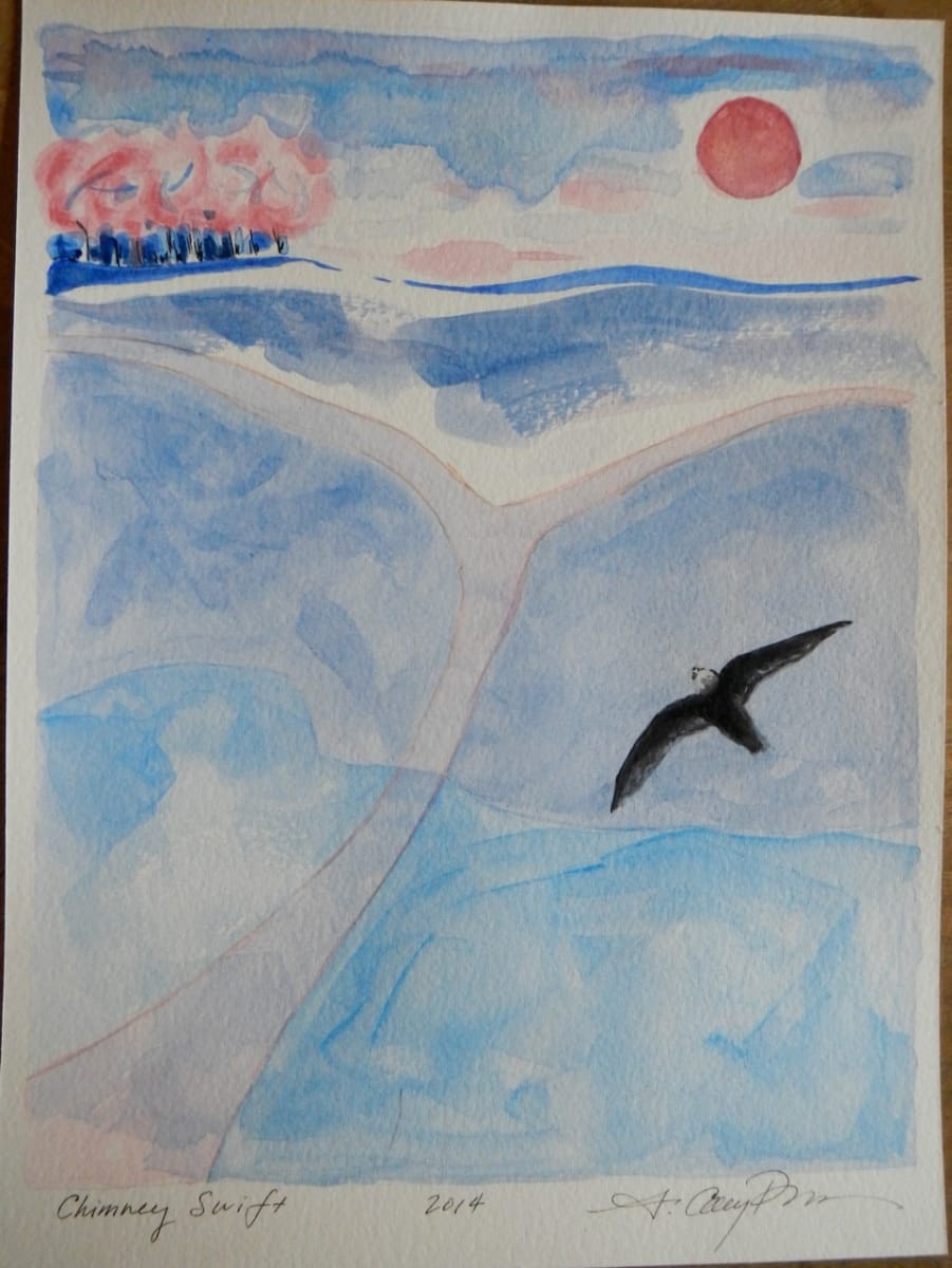 Chimney Swift by Cary Brown 
