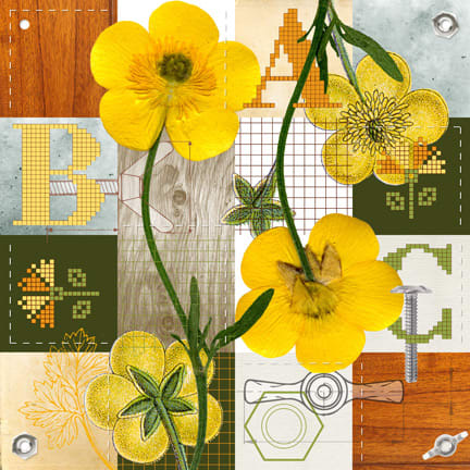 Buttercup by Anne Chesnut, Image 1.