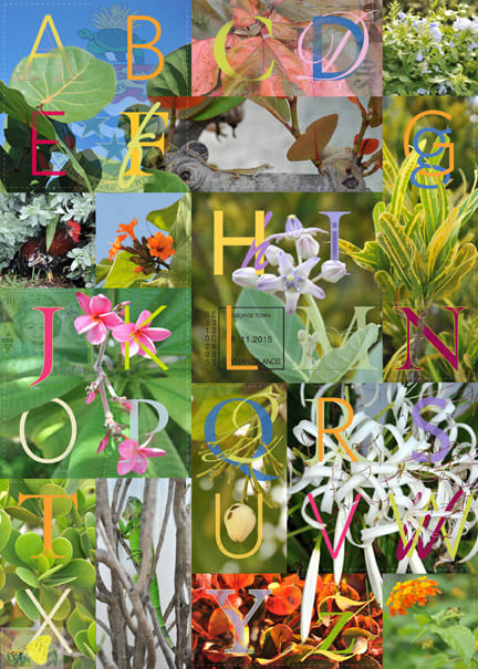 Sampler: November 6 by Anne Chesnut, Image 1.