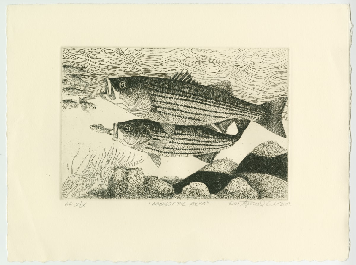 Amongst the Rocks by Stephen Mutsugoroh DiCerbo  Image: Amongst the Rocks - copper plate etching
