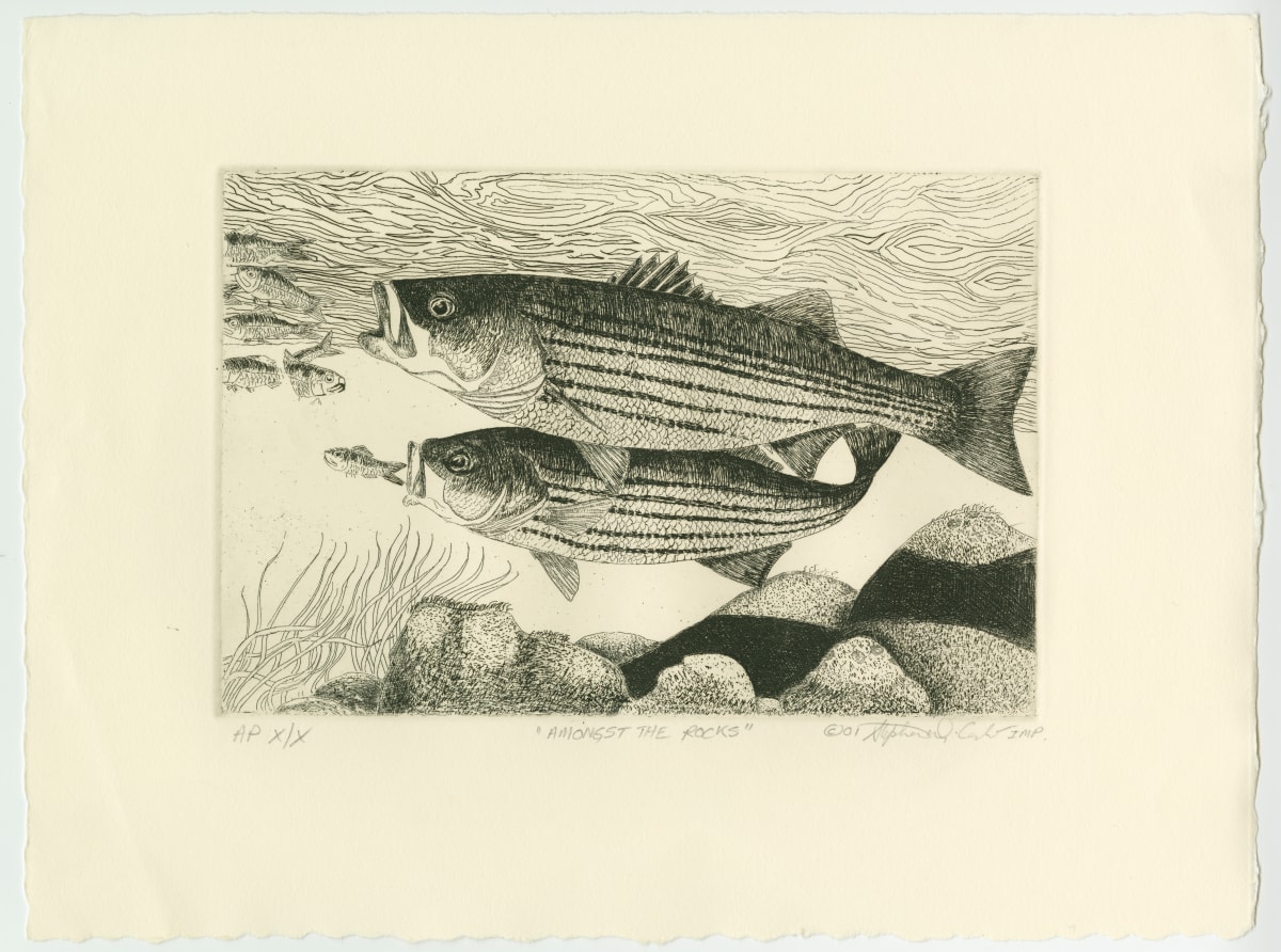 Amongst the Rocks by Stephen Mutsugoroh DiCerbo  Image: Amongst the Rocks - framed etching