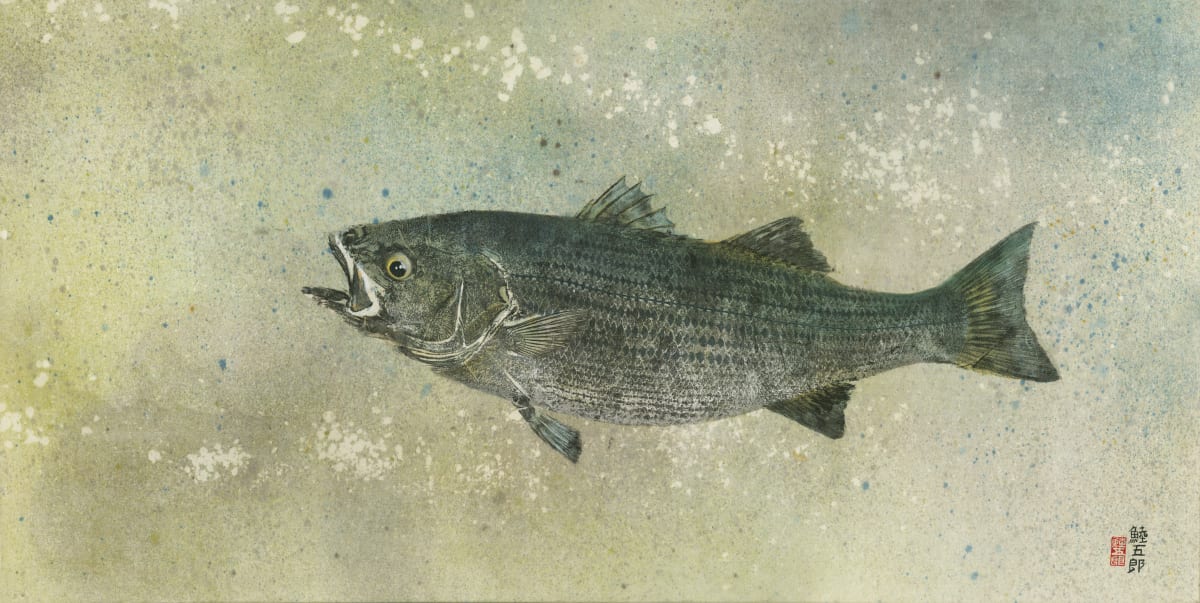 Bay Striped Bass 2 by Stephen Mutsugoroh DiCerbo  Image: Bay Striped Bass 2 - framed