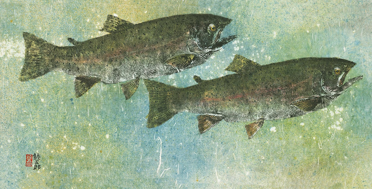 Rainbow Trout Pair 1 by Stephen Mutsugoroh DiCerbo  Image:  Rainbow Trout Pair 1