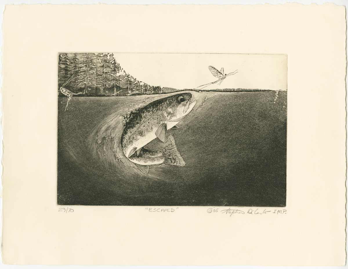 Escaped 29/70 by Stephen Mutsugoroh DiCerbo