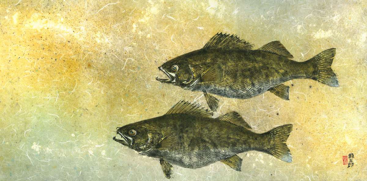 Lake Champlain Walleye Pair  1 by Stephen Mutsugoroh DiCerbo, Image 1.