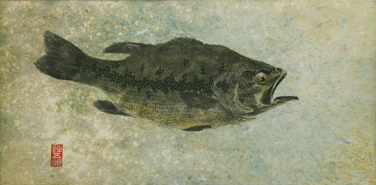 Lake Champlain Largemouth Bass 2 - framed by Stephen Mutsugoroh DiCerbo  Image: Lake Champlain Largemouth Bass 2 - framed