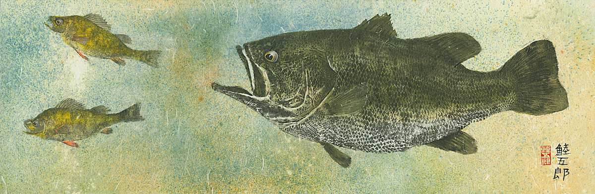 Largemouth Bass and Perch 2 (Gliclee') by Stephen Mutsugoroh DiCerbo  Image: Largemouth Bass and Perch 2