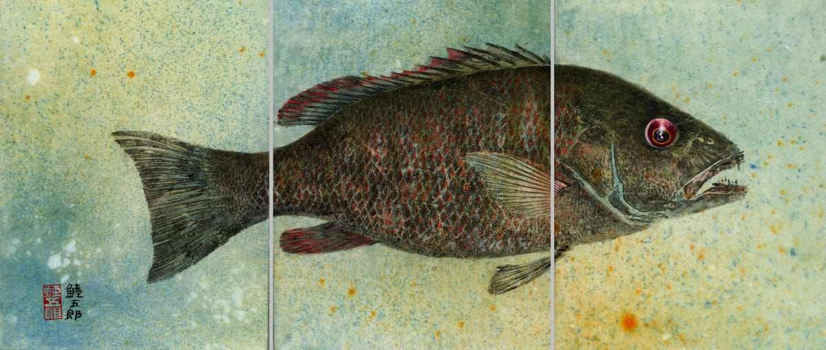 Mangrove Snapper 1  (triptych) by Stephen Mutsugoroh DiCerbo  Image: Mangrove Snapper 1  (triptych)