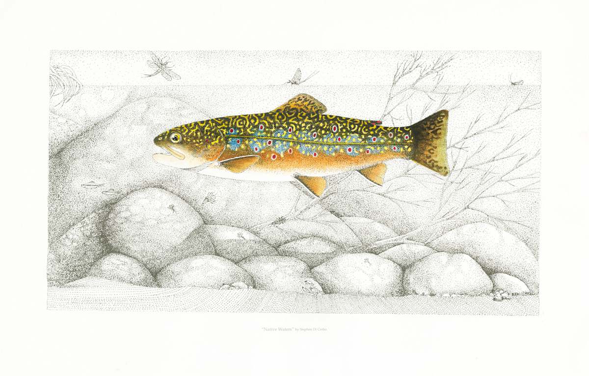 Native Waters by Stephen Mutsugoroh DiCerbo, Image 1.