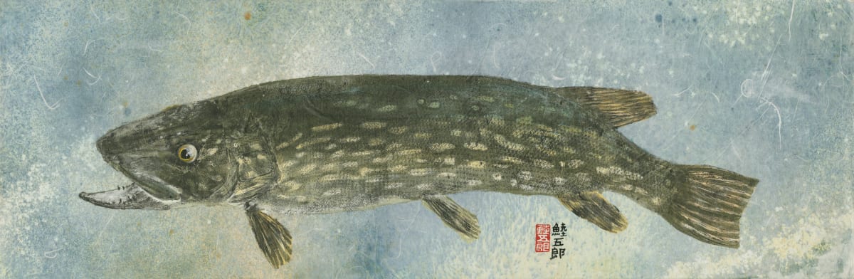 Northern Pike 3 by Stephen Mutsugoroh DiCerbo  Image: Northern Pike 3