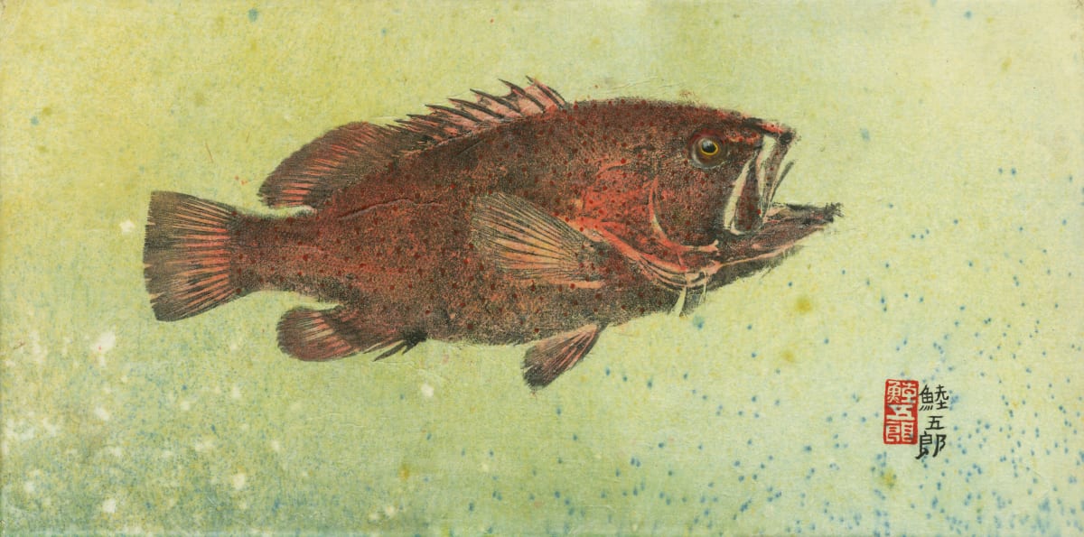 Pacific Strawberry Grouper 1 by Stephen Mutsugoroh DiCerbo  Image: Pacific Strawberry Grouper 1