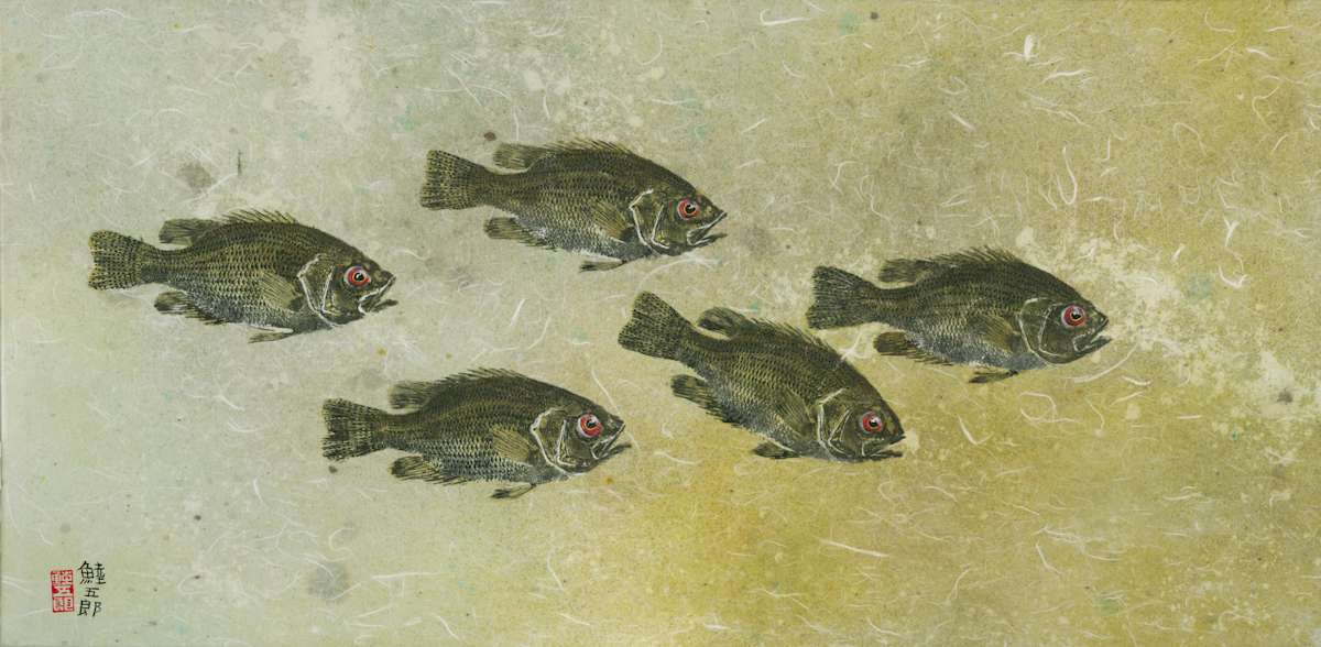 Rockbass School 4 by Stephen Mutsugoroh DiCerbo, Image 1.