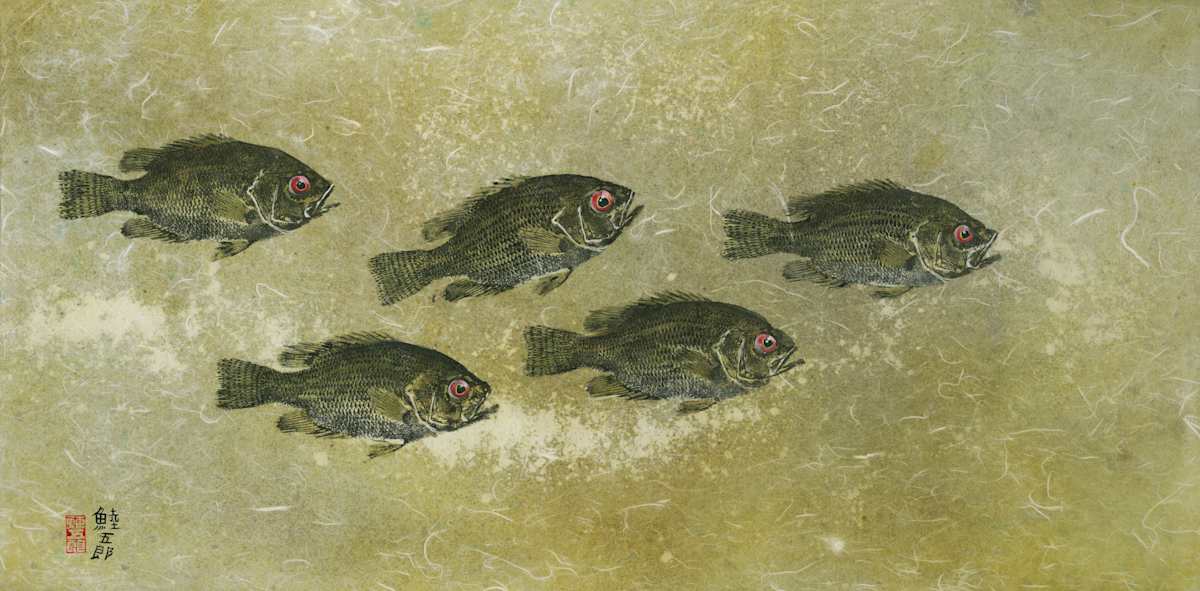 Rockbass School 5 by Stephen Mutsugoroh DiCerbo, Image 1.