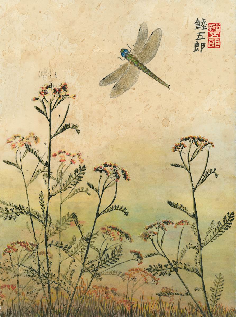 Shadow Darner Flight 2 by Stephen Mutsugoroh DiCerbo, Image 1.