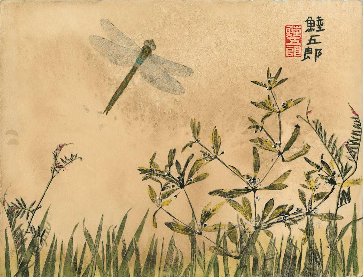 Shadow Darner Flight 3 by Stephen Mutsugoroh DiCerbo, Image 1.