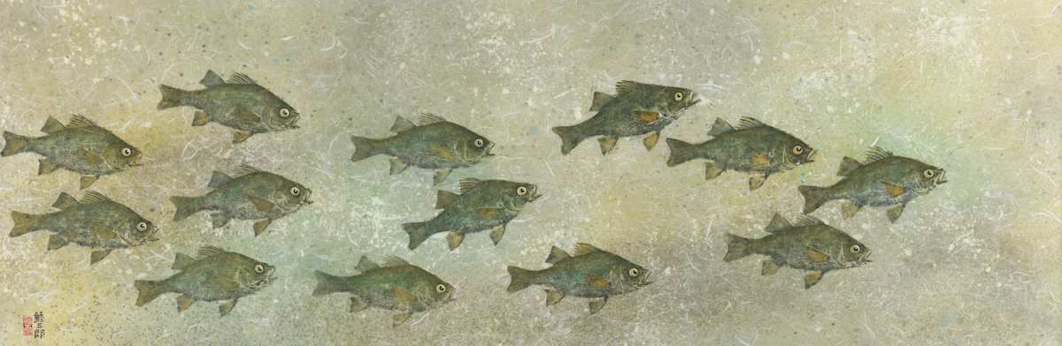 White Perch School 1 by Stephen Mutsugoroh DiCerbo, Image 2.
